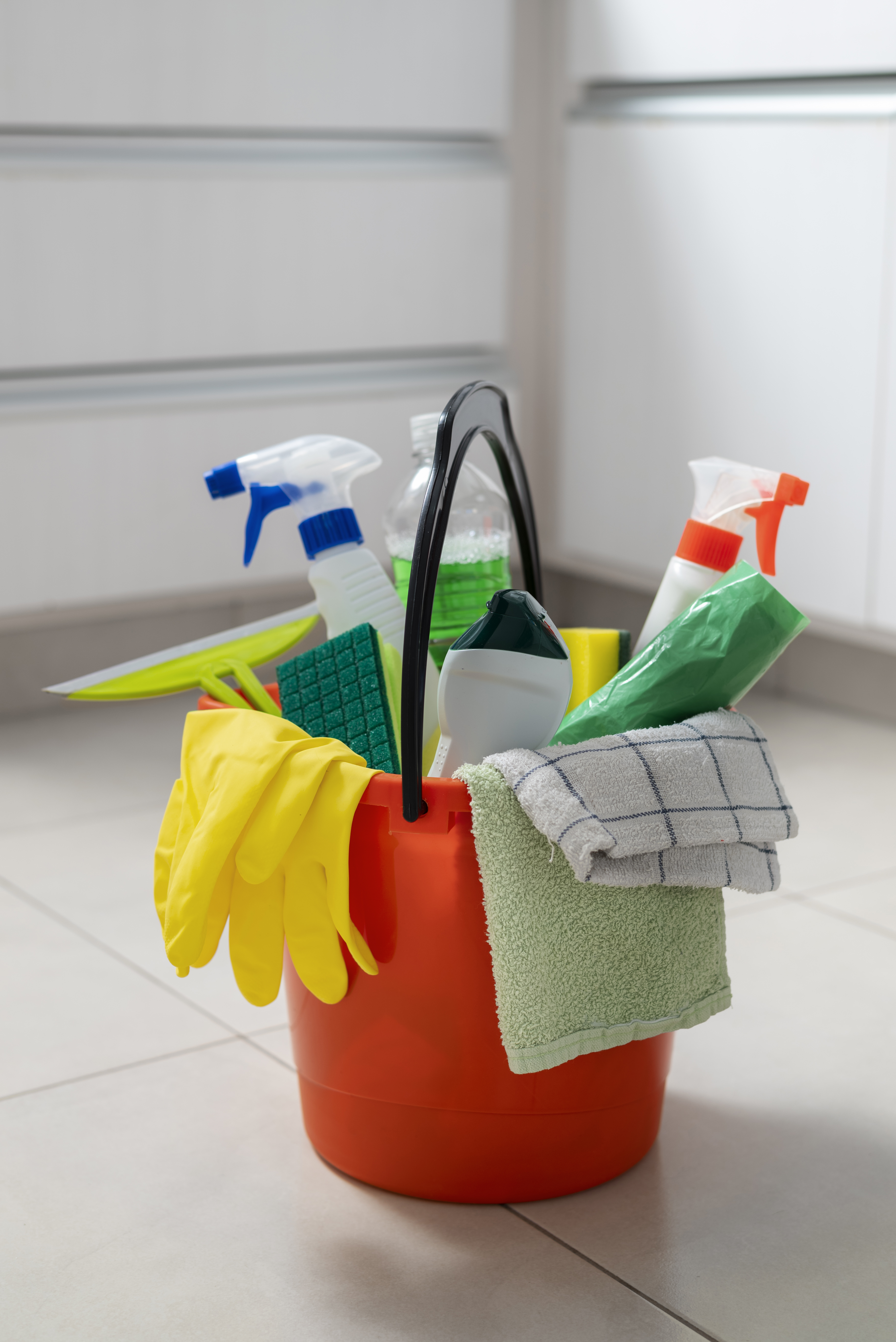 Professional cleaning services